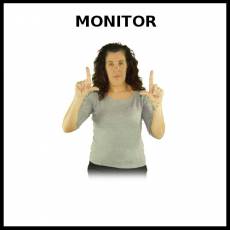 MONITOR (ORDENADOR) - Signo