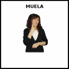MUELA - Signo