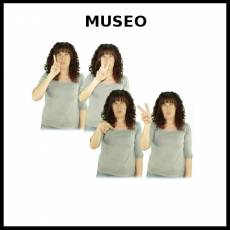MUSEO - Signo