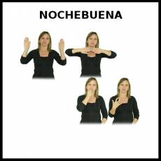NOCHEBUENA - Signo