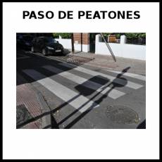 PASO DE PEATONES - Foto