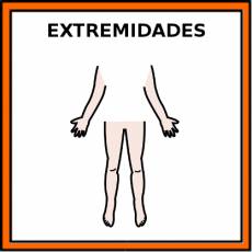EXTREMIDADES - Pictograma (color)