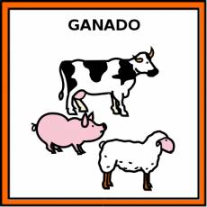 GANADO - Pictograma (color)