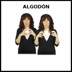 ALGODÓN - Signo