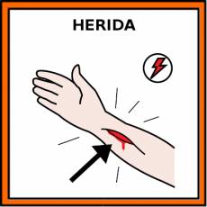 HERIDA - Pictograma (color)