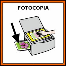 FOTOCOPIA - Pictograma (color)