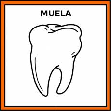 MUELA - Pictograma (color)