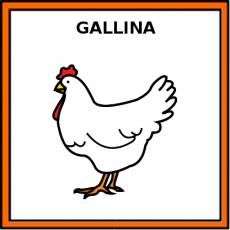 GALLINA - Pictograma (color)