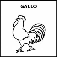 GALLO - Pictograma (blanco y negro)