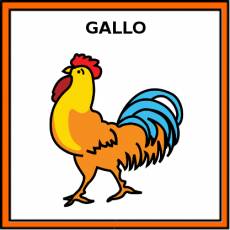 GALLO - Pictograma (color)
