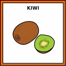 KIWI - Pictograma (color)