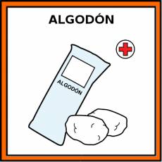 ALGODÓN - Pictograma (color)