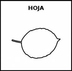 HOJA (ÁRBOL) - Pictograma (blanco y negro)