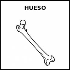 HUESO - Pictograma (blanco y negro)