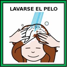 LAVARSE  EL PELO - Pictograma (color)