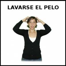 LAVARSE  EL PELO - Signo