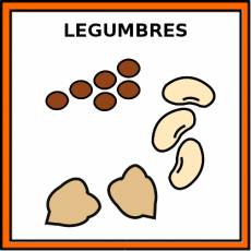 LEGUMBRES - Pictograma (color)