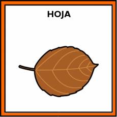 HOJA (ÁRBOL) - Pictograma (color)