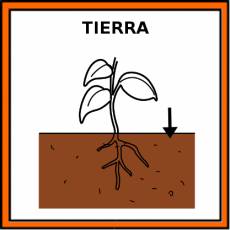 TIERRA (SUELO) - Pictograma (color)