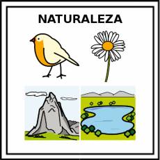 NATURALEZA - Pictograma (color)