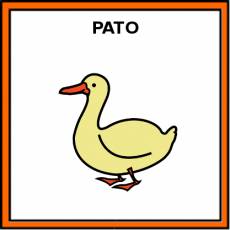 PATO - Pictograma (color)