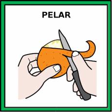 PELAR - Pictograma (color)