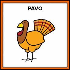 PAVO - Pictograma (color)