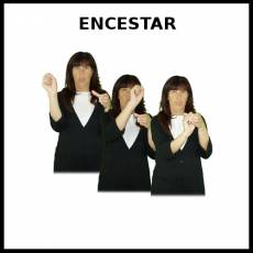 ENCESTAR - Signo