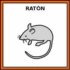 RATÓN (ANIMAL) - Pictograma (color)