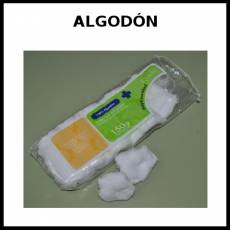 ALGODÓN - Foto