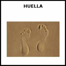 HUELLA (PIE) - Foto