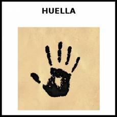HUELLA (MANO) - Foto