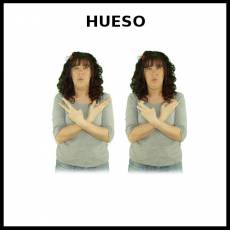 HUESO - Signo