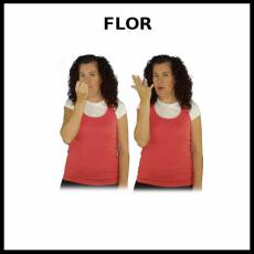 FLOR - Signo