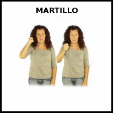 MARTILLO - Signo