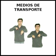 MEDIOS DE TRANSPORTE - Signo