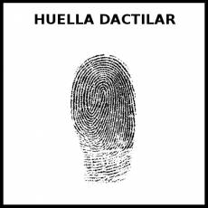HUELLA DACTILAR - Foto
