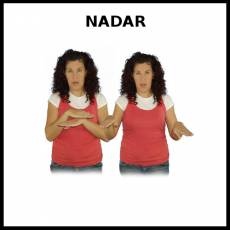 NADAR - Signo