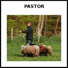 PASTOR - Foto