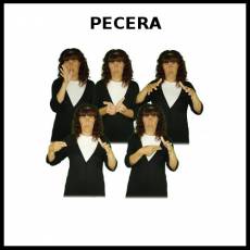 PECERA - Signo