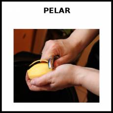 PELAR - Foto