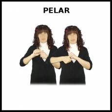 PELAR - Signo
