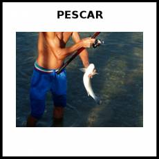 PESCAR - Foto