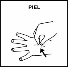 PIEL - Pictograma (blanco y negro)