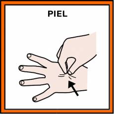 PIEL - Pictograma (color)