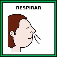 RESPIRAR - Pictograma (color)