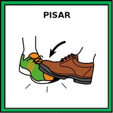 PISAR - Pictograma (color)