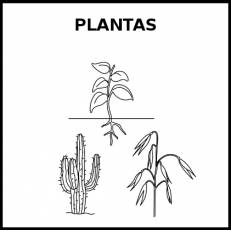 PLANTAS - Pictograma (blanco y negro)
