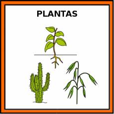 PLANTAS - Pictograma (color)
