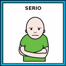 SERIO - Pictograma (color)
